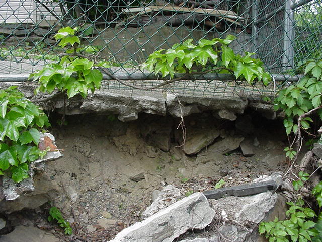 BainbridgeGarden2006