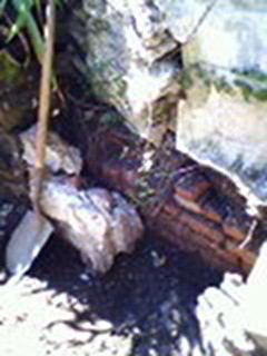 BainbridgeGarden2006