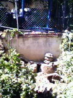 BainbridgeGarden2006