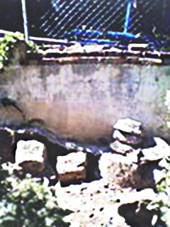 BainbridgeGarden2006