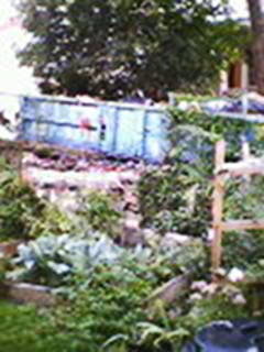 BainbridgeGarden2006