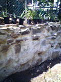 BainbridgeGarden2006