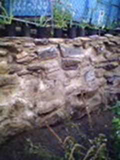 BainbridgeGarden2006