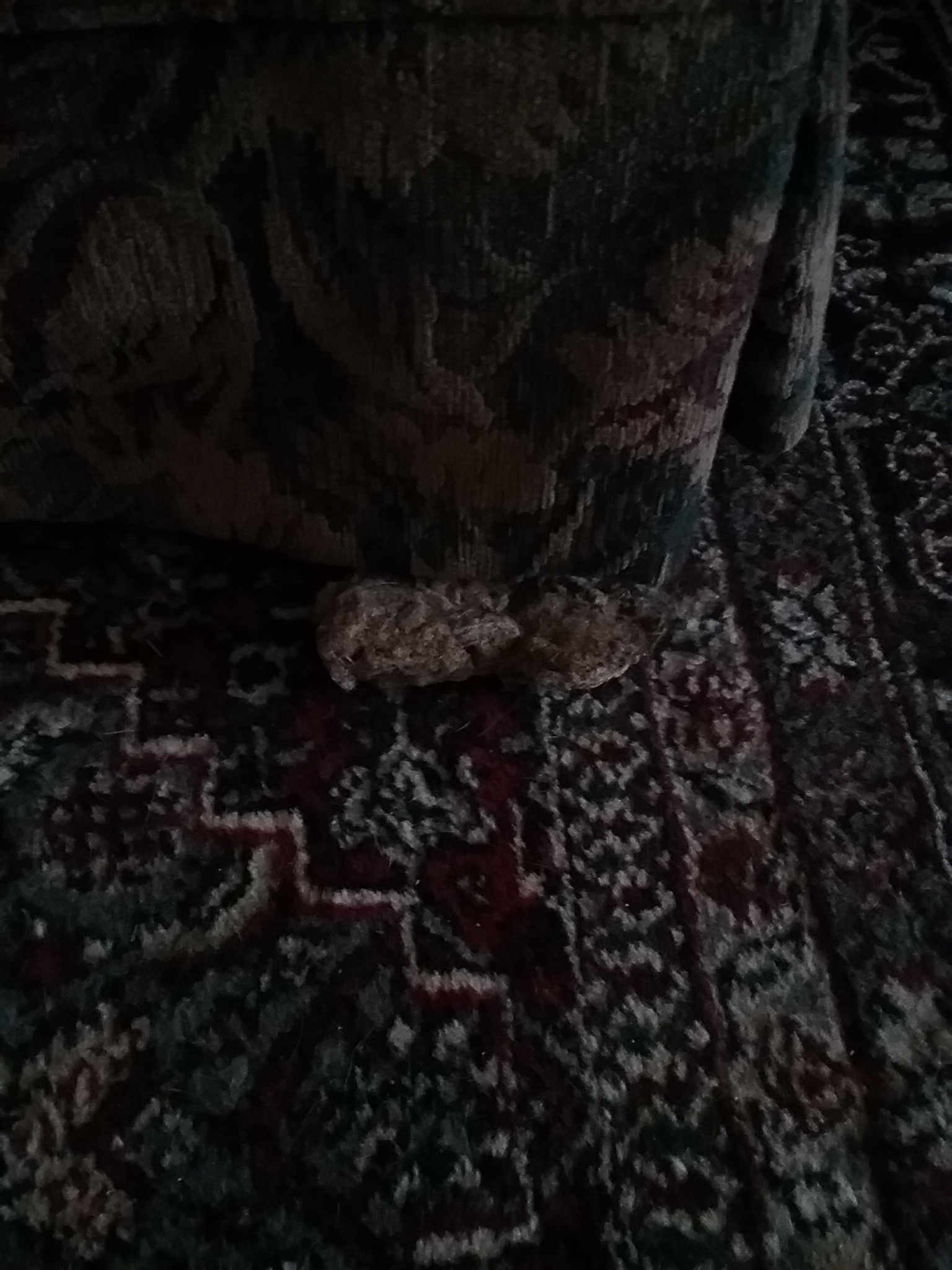 dried vomit - 2 weeks at least un-noticed.