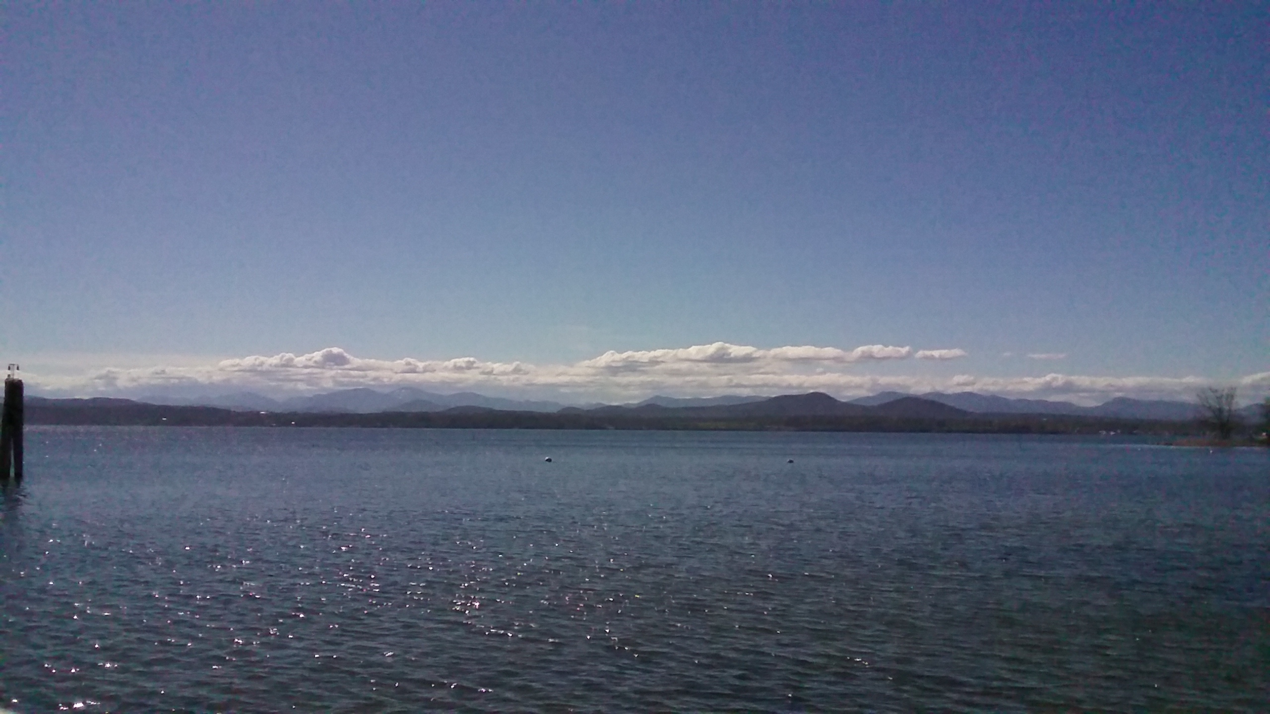 20210413_144254 20210413_144254