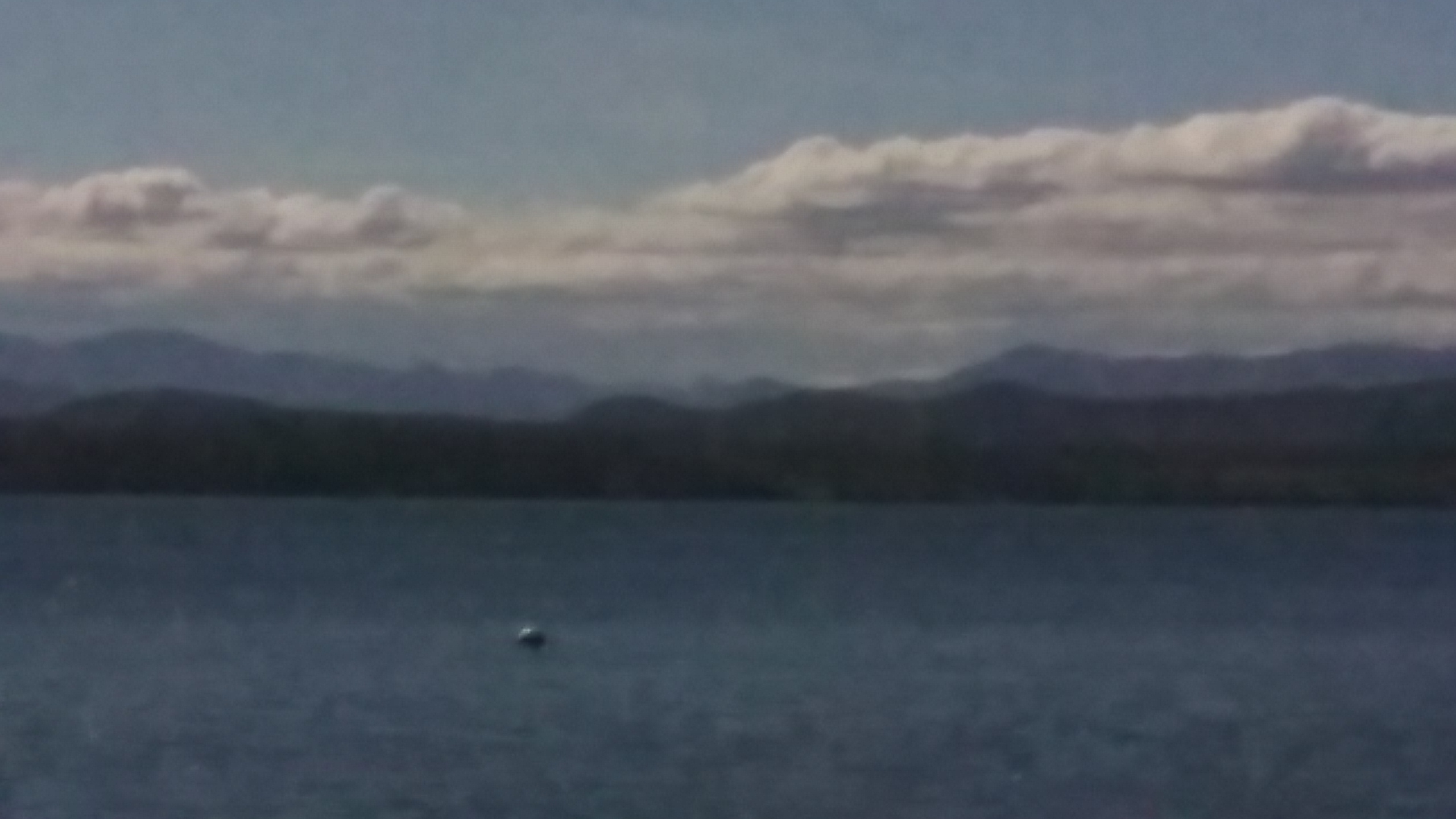 20210413_144309 20210413_144309