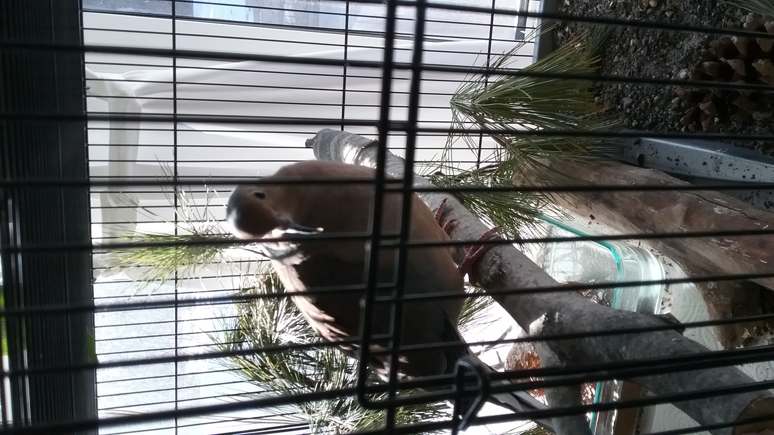 20210320_094730 20210320_094730