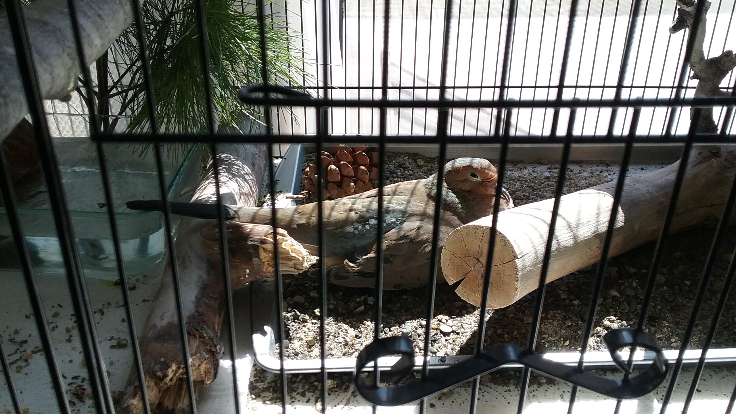 20210403_130313 20210403_130313