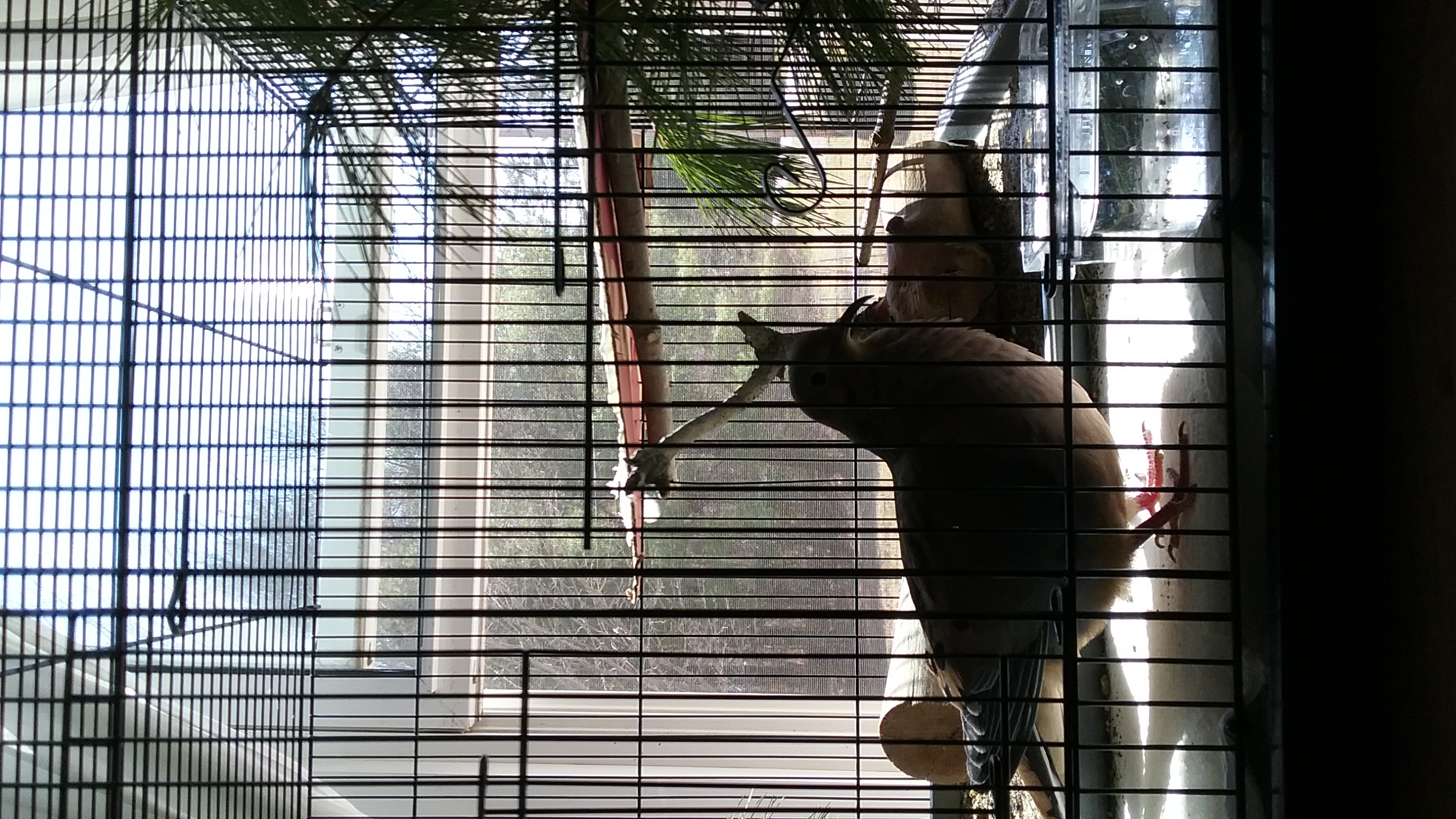 20210410_124813 20210410_124813