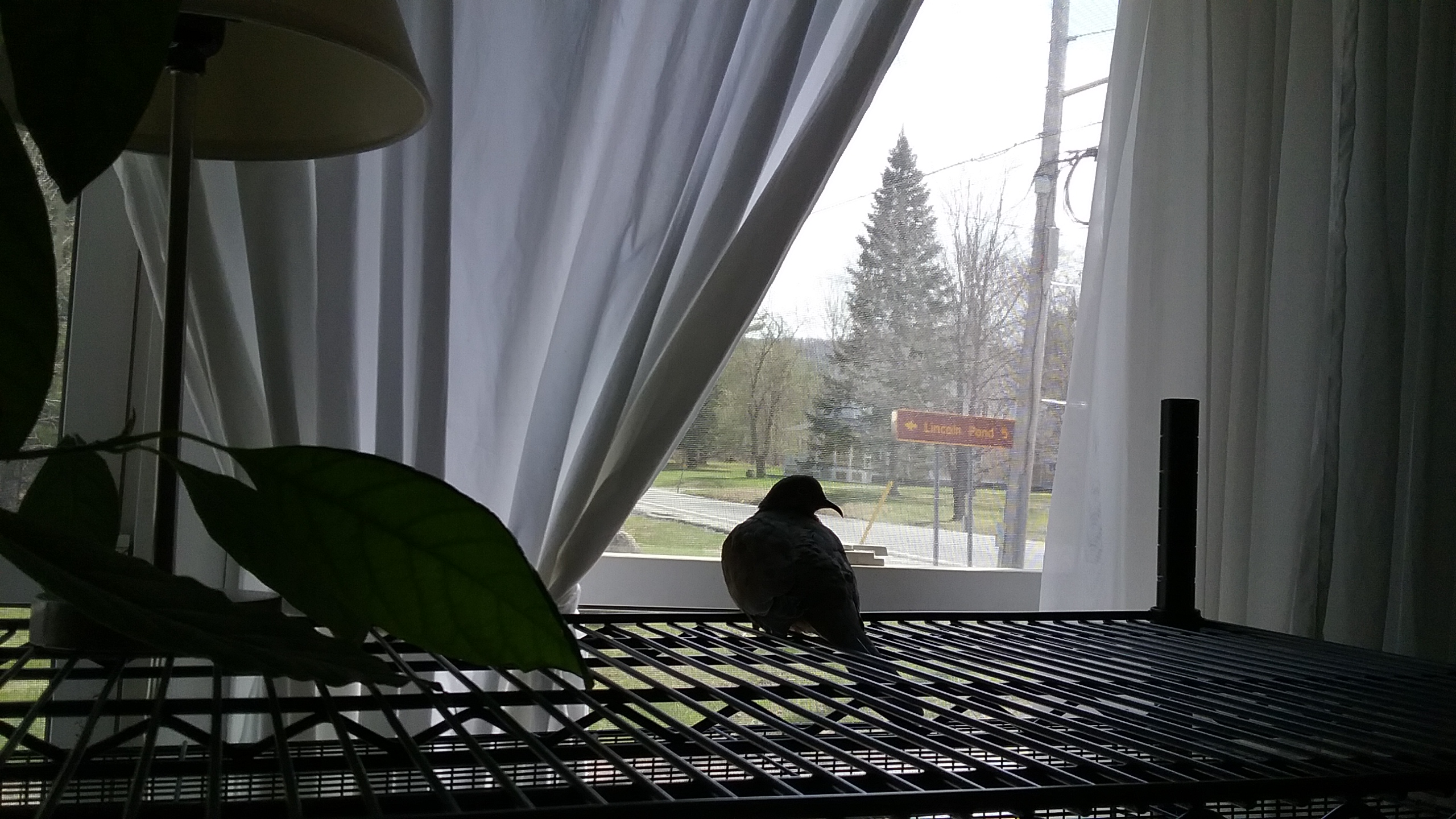 20210419_144920 20210419_144920