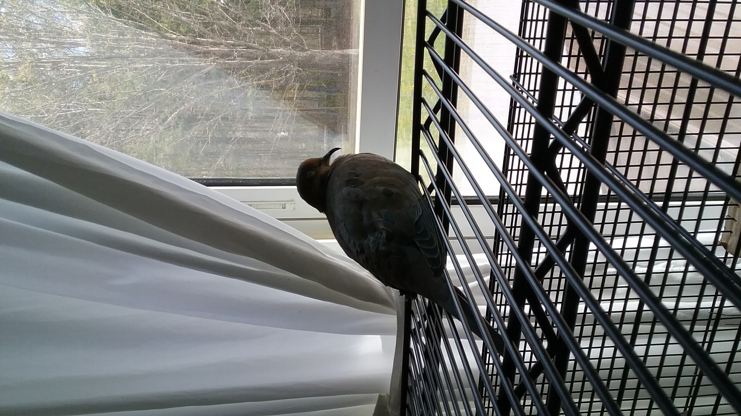 20210419_145002 20210419_145002