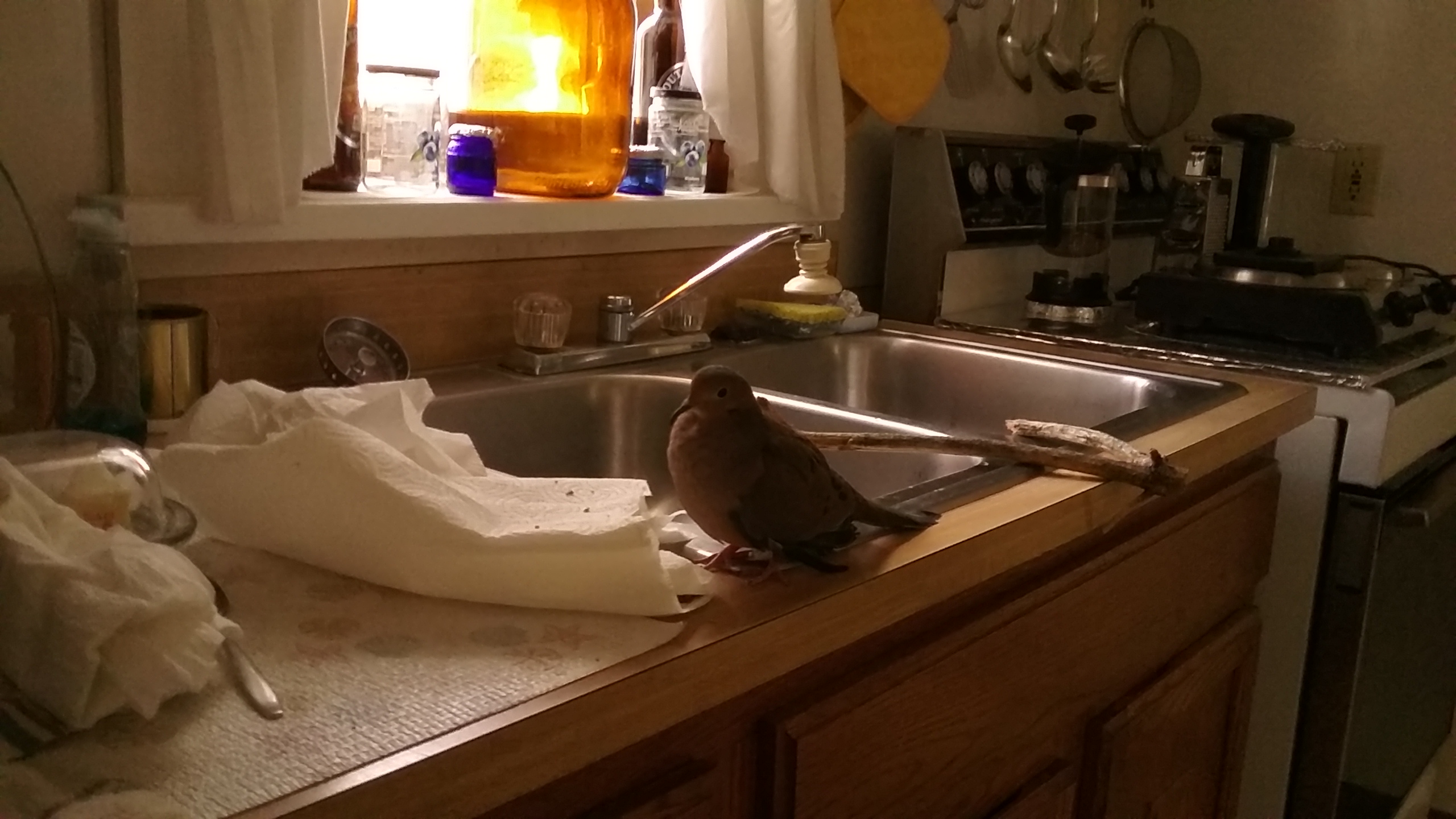 20210419_155553 20210419_155553