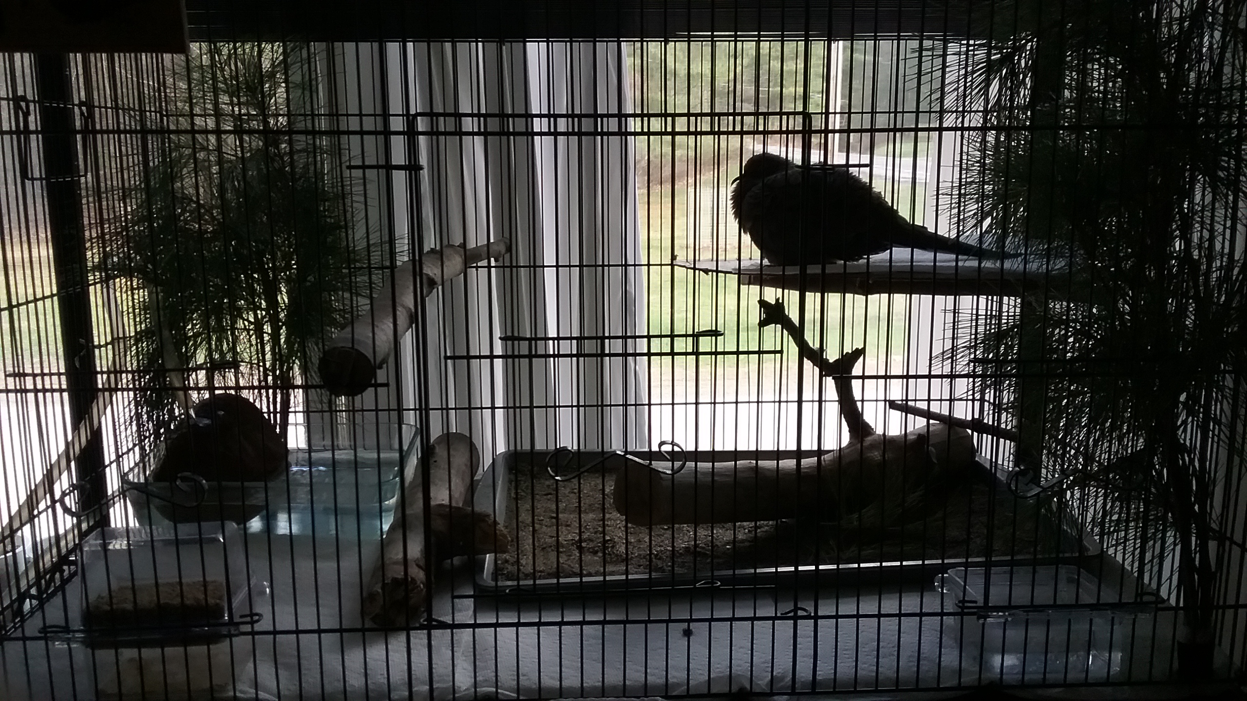 20210419_161656 20210419_161656