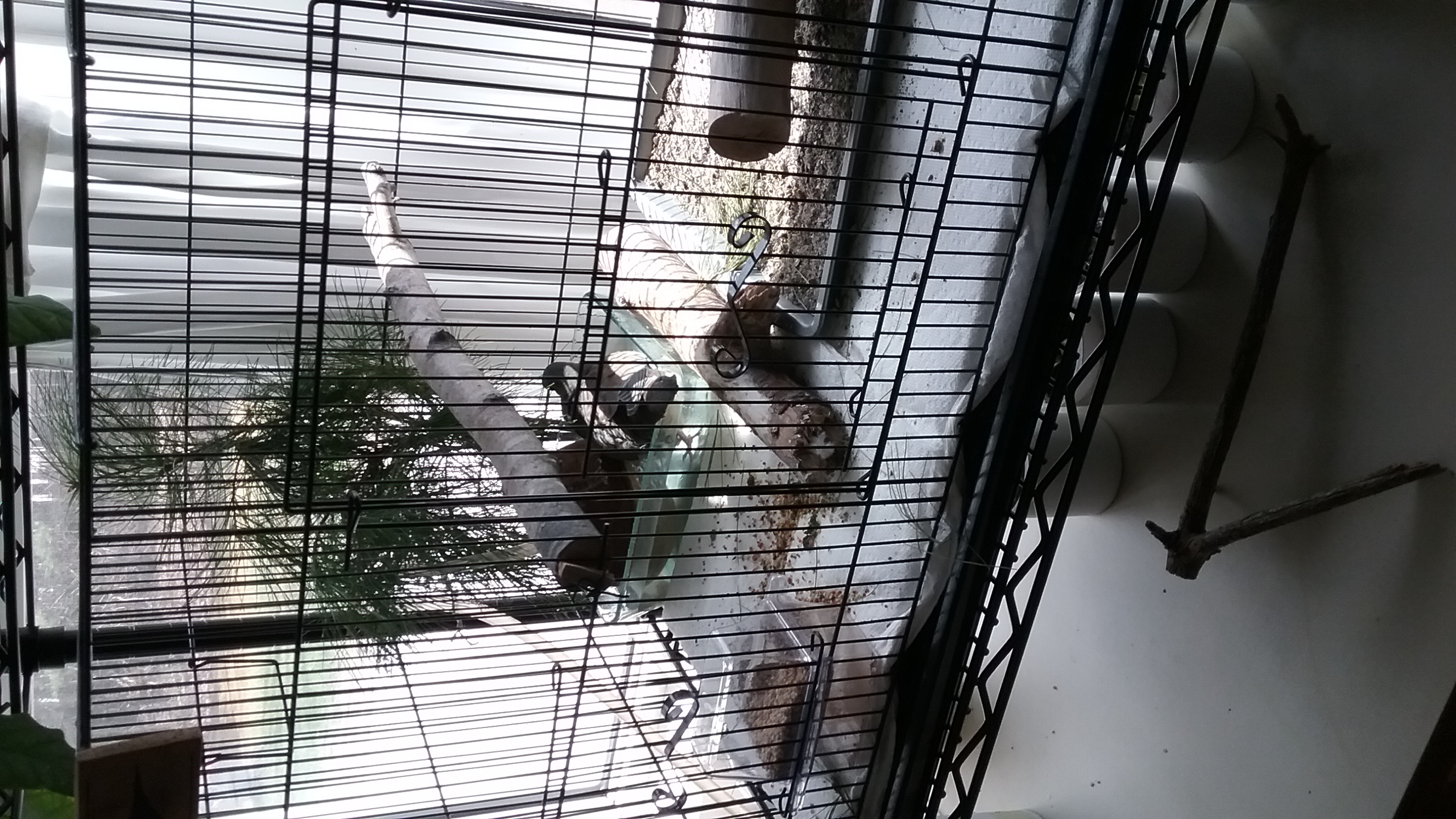 20210420_135505 20210420_135505