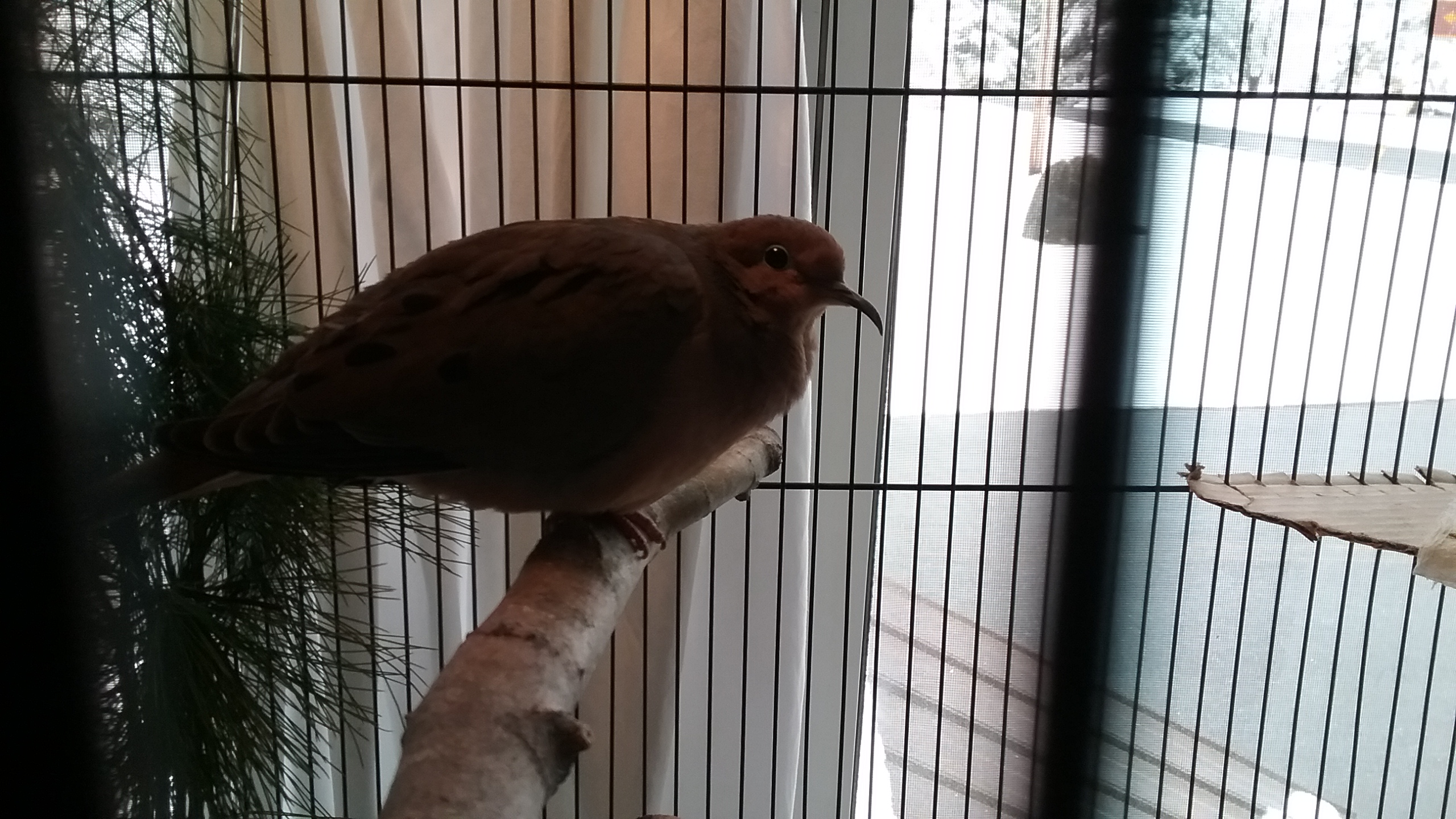 20210421_190011 20210421_190011