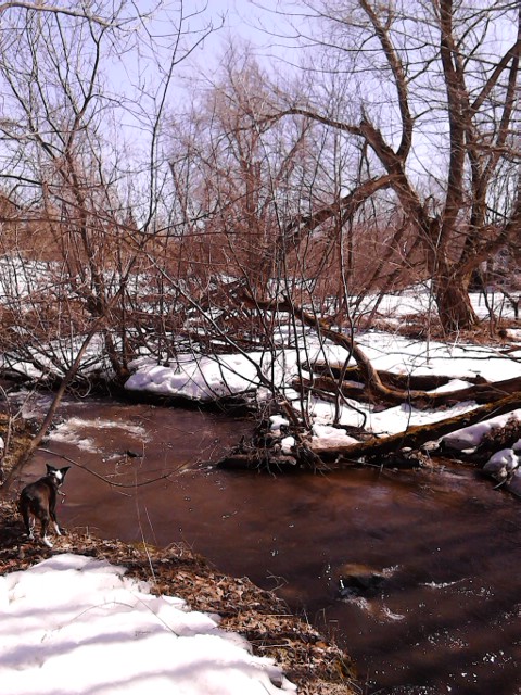 aIMG_20140406_143336-dixie