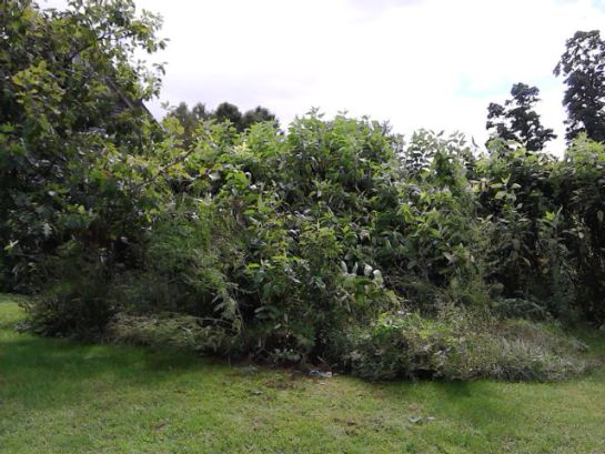 IMG_20130903_115716