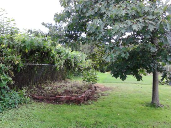 IMG_20130903_155356