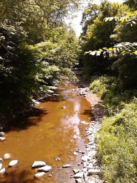 IMG_20140720_123731Groat